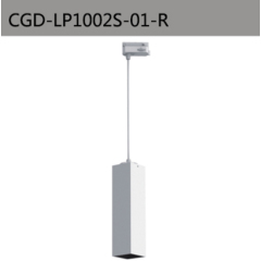 CGD-LP1002S-01-R