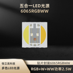 RGBWW灯珠 6065五合一LED灯珠 RGB+CW+WW  白光色温2700K+6500K HLG-T6065RGBWW-5-W80GJ27-W80GJ