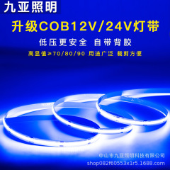 COB灯带高低12v/24V/220V 线形工程款灯带 8mm宽-12V-252灯-白光 