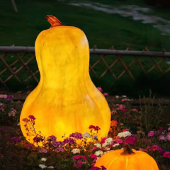 发光大型玻璃钢仿真植物蔬菜水果雕塑南瓜装饰灯公园农场模型造景摆饰 800*800mm