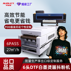 奥德利六头DTF白墨烫画打印机T恤服装数码印花柯式白墨烫画打印机