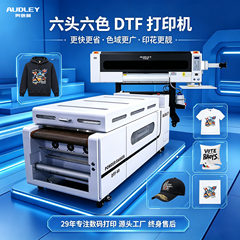 奥德利六头六色白墨烫画打印机t恤成衣水洗唛DIY图案DTF白墨打印